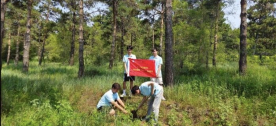 �|���������l(xi��ng)����ɳ��;��